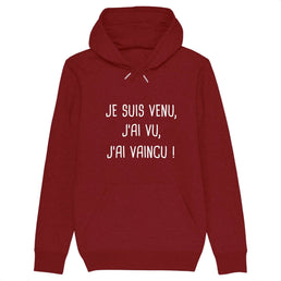 Sweat-shirt à capuche pompier unisexe - Je suis venu, j'ai vu, j'ai vaincu ! - POMPIER SHOP